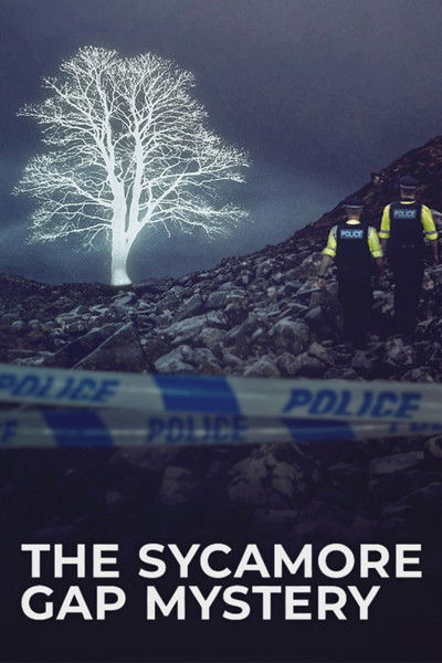 Póster de The Sycamore Gap Mystery