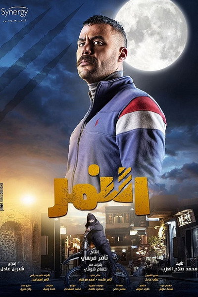 Póster de The Tiger