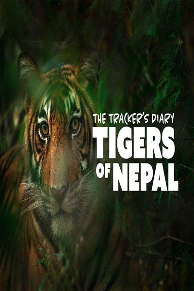 Póster de The Tracker's Diary: Tigers of Nepal