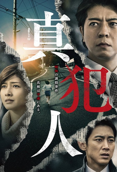 Póster de The True Culprit