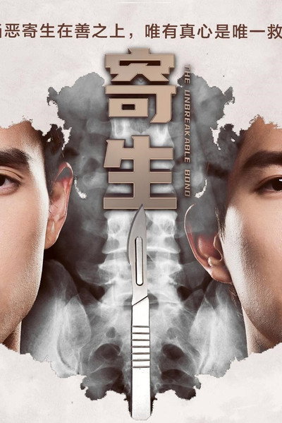 Póster de The Unbreakable Bond