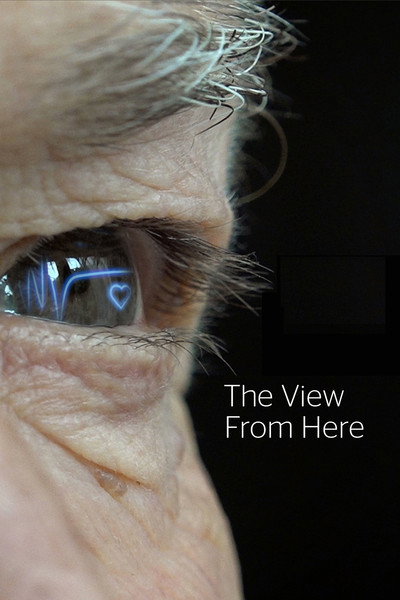 Póster de The View from Here