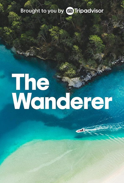 Póster de The Wanderer