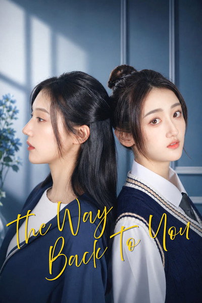 Póster de The Way Back to You