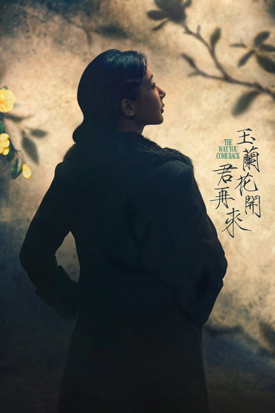 Póster de The Way You Come Back