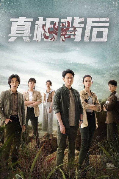 Póster de The Whole Truth
