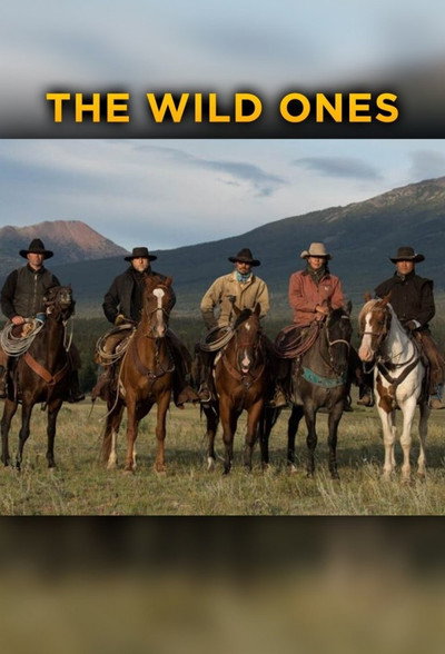 Póster de The Wild Ones