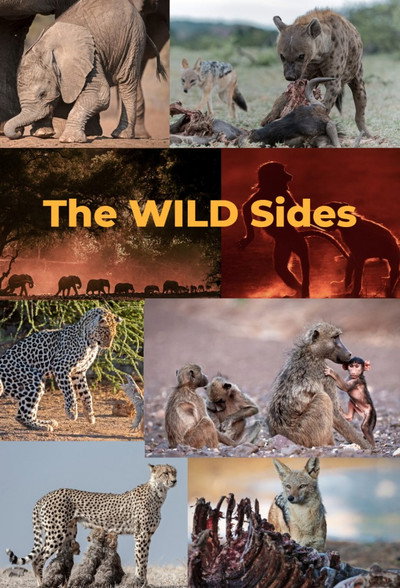 Póster de The Wild Sides