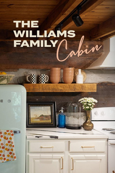 Póster de The Williams Family Cabin