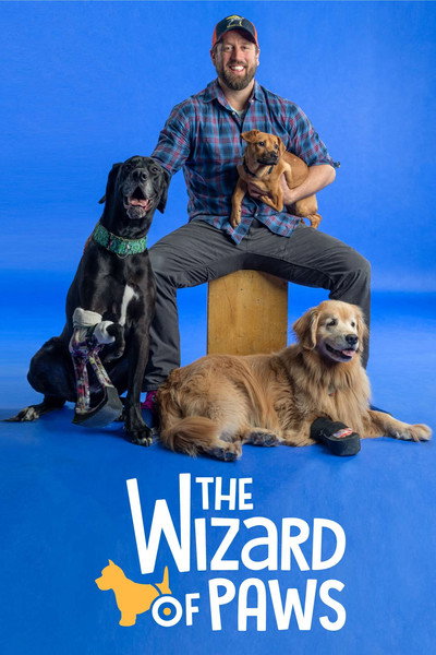 Póster de The Wizard of Paws