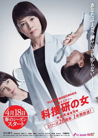 Póster de The Woman of S.R.I.
