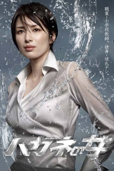 Póster de The Woman of Steel