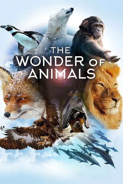 Póster de The Wonder of Animals