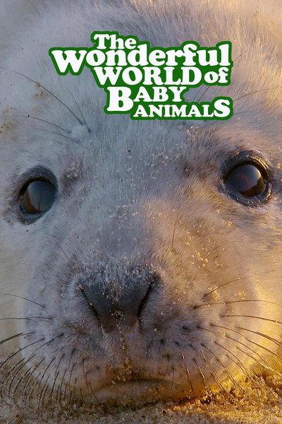 Póster de The Wonderful World of Baby Animals