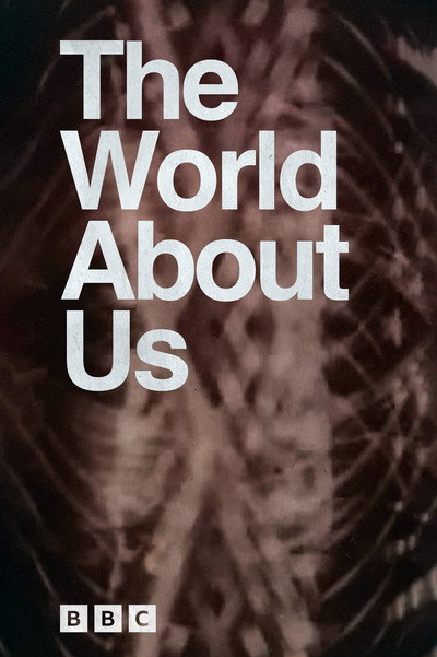 Póster de The World About Us