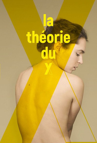 Póster de The Y Theory