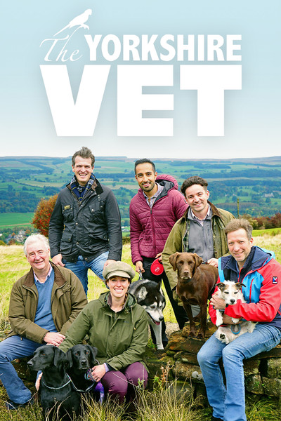Póster de The Yorkshire Vet