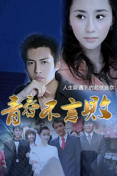 Póster de The Youth Did Not Fail