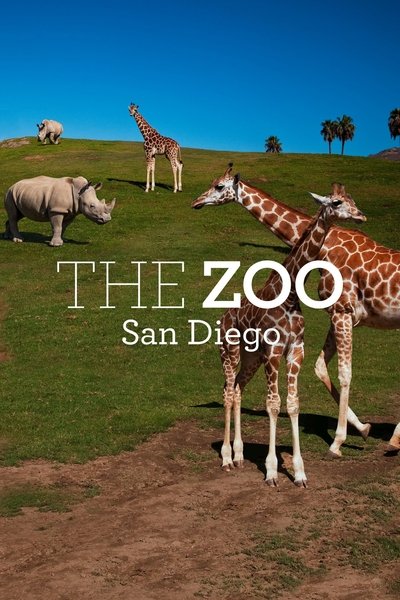 Póster de The Zoo: San Diego