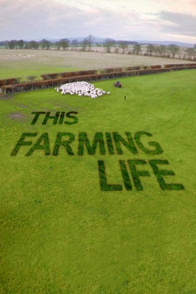 Póster de This Farming Life