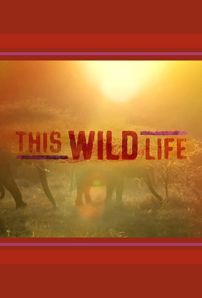 Póster de This Wild Life