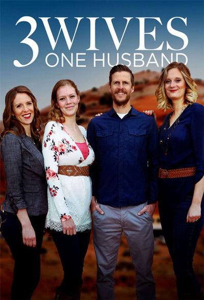 Póster de Three Wives, One Husband