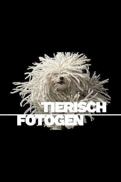 Póster de Tierisch fotogen