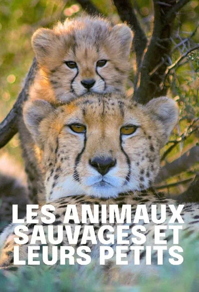 Póster de Tierkinder der Wildnis