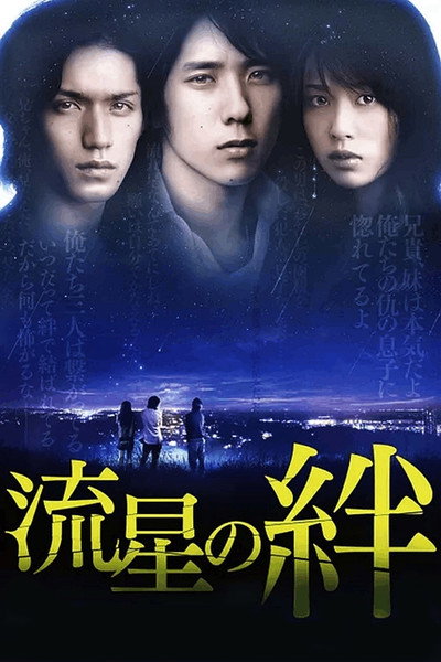 Póster de Ties of Shooting Stars