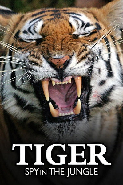 Póster de Tiger: Spy in the Jungle
