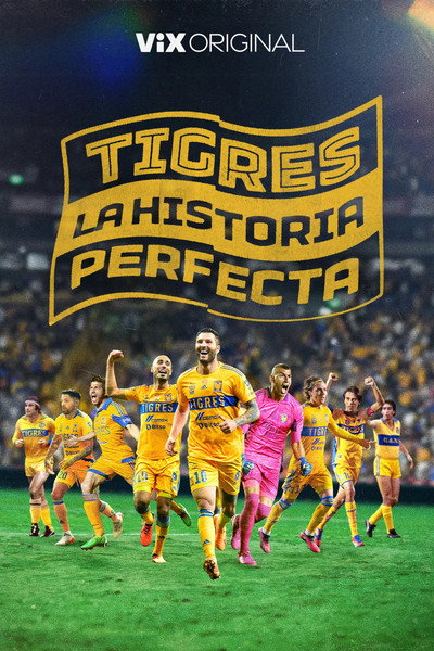 Póster de Tigres La Historia Perfecta