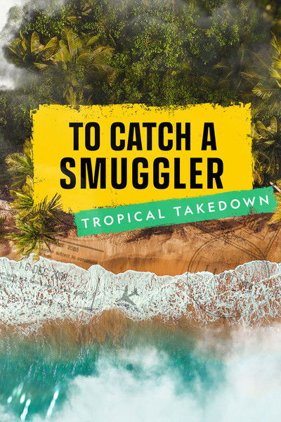 Póster de To Catch a Smuggler: Tropical Takedown