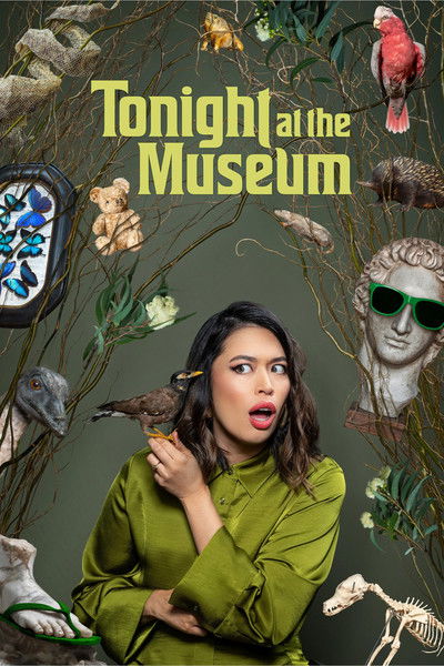 Póster de Tonight at the Museum