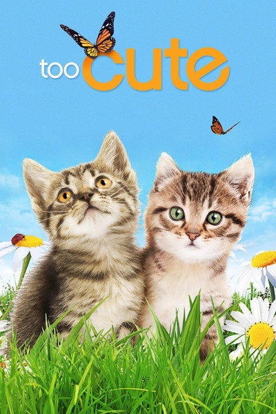 Póster de Too Cute!