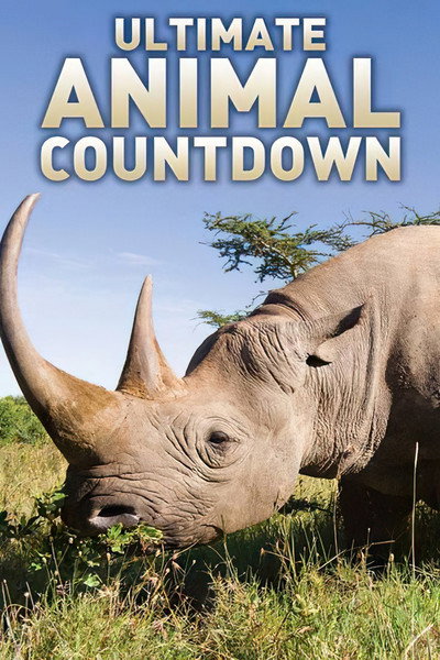 Póster de Top 10 animal