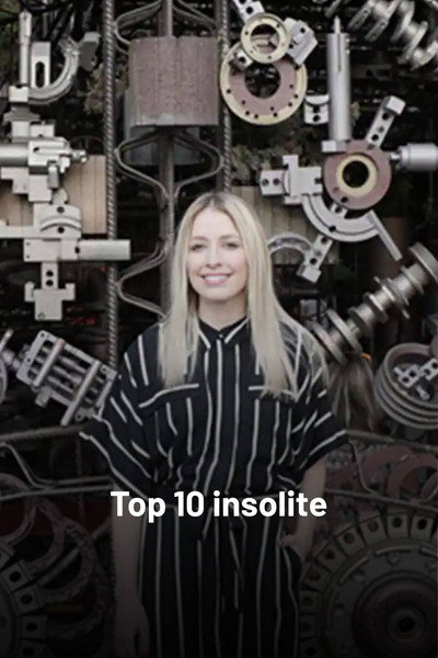 Póster de Top 10 insolite