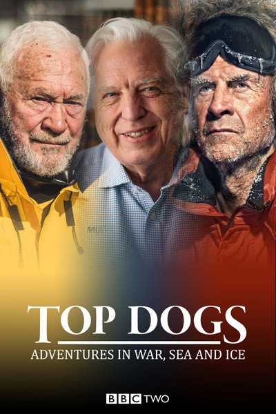 Póster de Top Dogs: Adventures in War, Sea and Ice