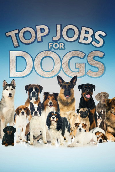 Póster de Top Jobs for Dogs