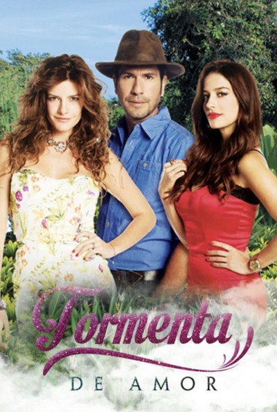 Póster de Tormenta De Amor