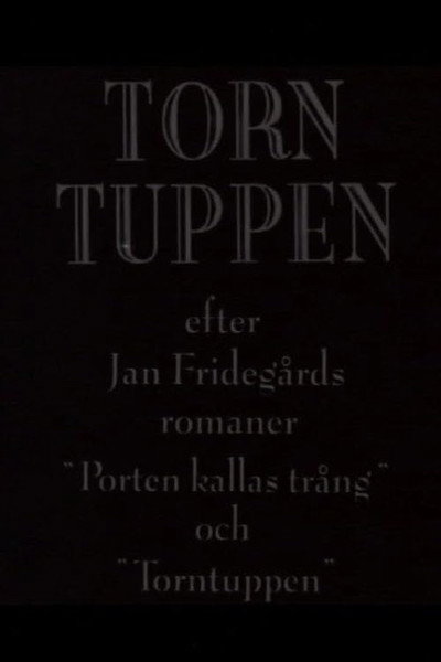 Póster de Torntuppen