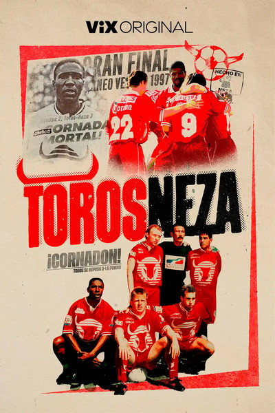 Póster de Toros Neza