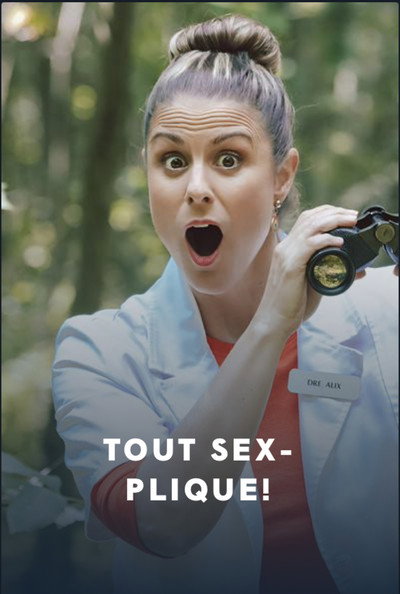 Póster de Tout sexplique