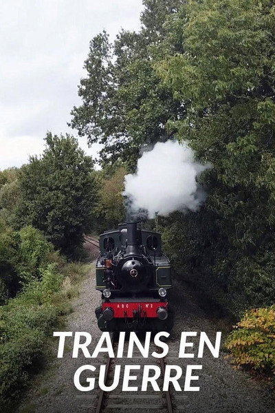 Póster de Trains at War