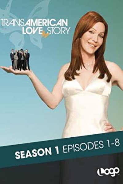 Póster de Transamerican Love Story