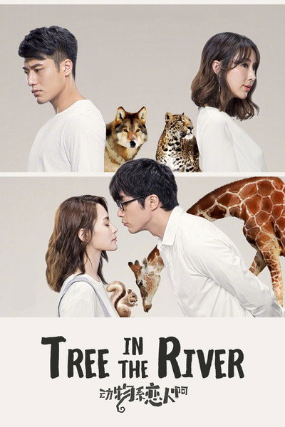 Póster de Tree in the River