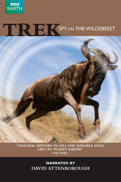Póster de Trek: Spy on the Wildebeest