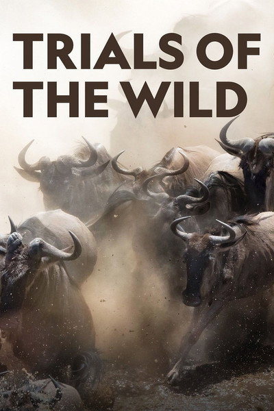 Póster de Trials of the Wild