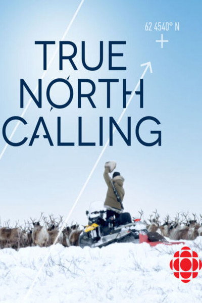 Póster de True North Calling