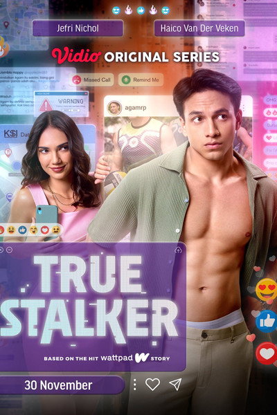 Póster de True Stalker
