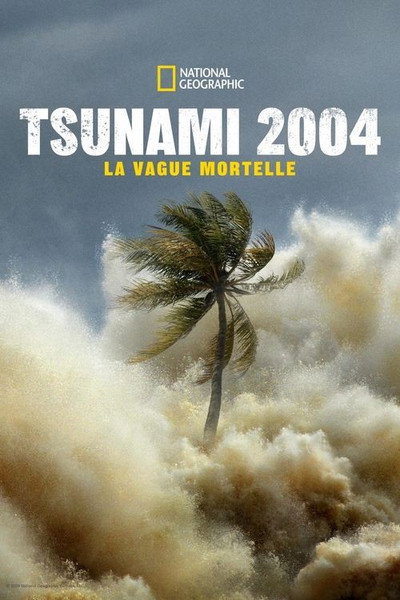 Póster de Tsunami 2004: Waves of Death